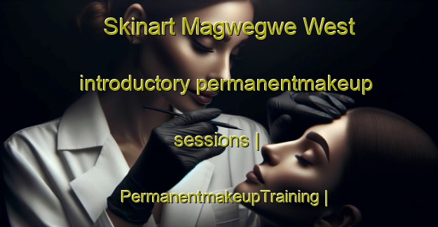 Skinart Magwegwe West introductory permanentmakeup sessions | PermanentmakeupTraining | PermanentmakeupClasses | SkinartTraining-Zimbabwe